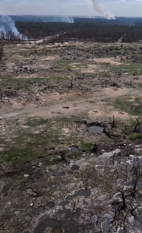 &quot;Безжалостный ад&quot;. В сети показали, как выглядит село в Херсонской области, которое уничтожили россияне
